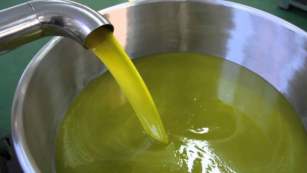  a-rischio-la-produzione-dell’olio-extravergine-di-oliva-dop-“terra-d’otranto”