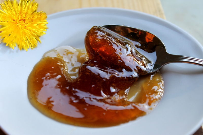 miele-di-tarassaco:-un-delizioso-sostituto-del-miele-d’api,-un’ottima-soluzione-per-i-vegani.