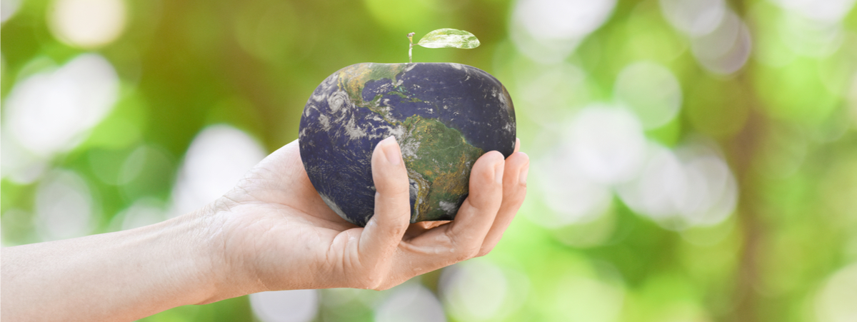 diritto-agroalimentare-e-ambiente:-“la-sostenibilita-non-e-un’etichetta-vuota”