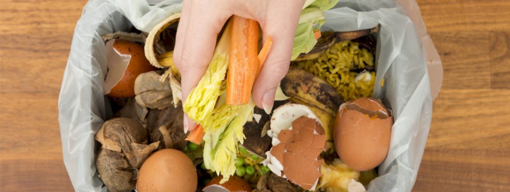 il-17%-del-cibo-prodotto-e-venduto-viene-buttato:-i-dati-del-food-waste-index-report-2021-dell’unep