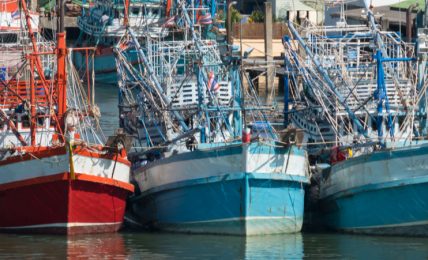 riduzione-della-pesca:-come-superare-i-problemi-del-settore-nel-segno-della-sostenibilita?