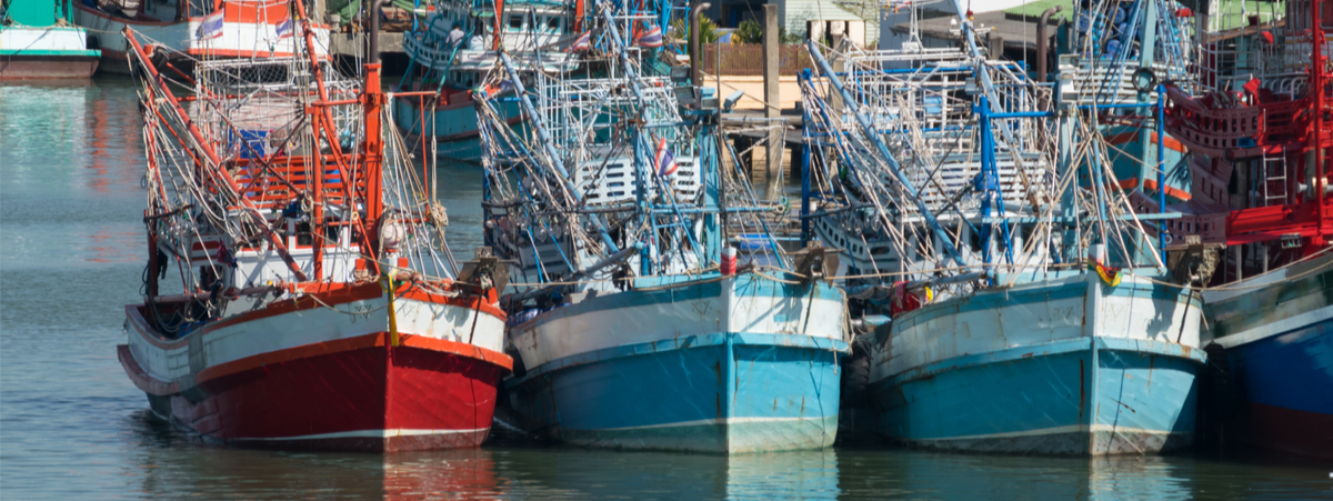 riduzione-della-pesca:-come-superare-i-problemi-del-settore-nel-segno-della-sostenibilita?