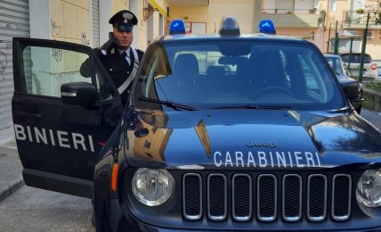 lauria,-i-carabinieri-sospendono-festa-privata-abusiva-con-oltre-100-persone
