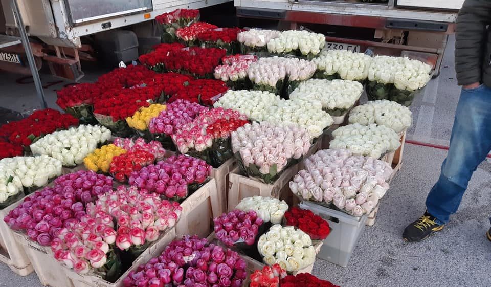 mercato-dei-fiori-di-terlizzi,-cia-levante:-“rilanciare-la-struttura-e-il-settore”