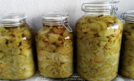 pomodori-verdi-sott’olio:-da-preparare-ora-e-consumare-a-natale