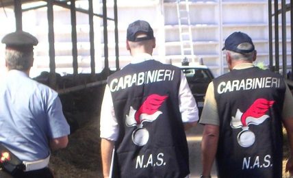 carabinieri-nas-di-potenza:-controlli-sulla-sicurezza-alimentare-e-sanitaria-del-primo-quadrimestre-2022