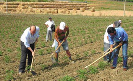 pubblicato-sul-bur-basilicata-l’avviso-su-“aiuto-all’avviamento-di-imprese-per-i-giovani-agricoltori”