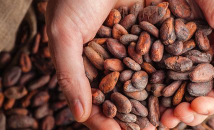 caratteristiche-e-benefici-del-cacao-crudo,-prezioso-antiossidante