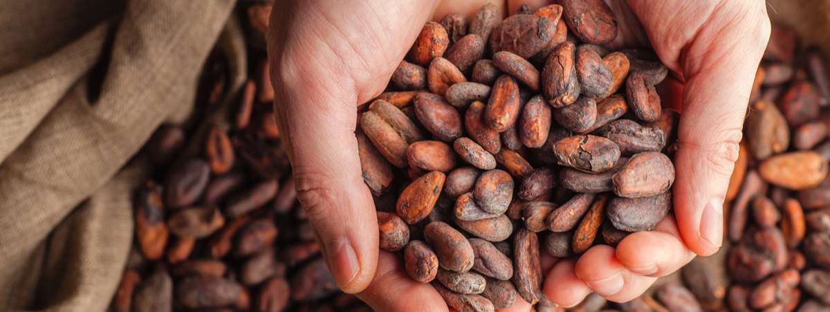 caratteristiche-e-benefici-del-cacao-crudo,-prezioso-antiossidante