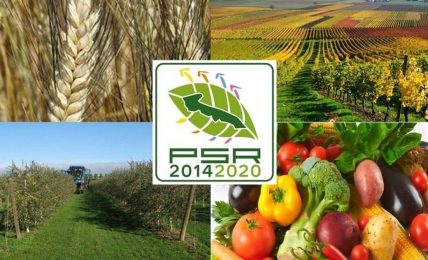 psr-puglia,-bando-primo-insediamento-in-agricoltura-2022