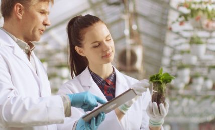 biotecnologie-sostenibili-per-l’agricoltura-italiana:-il-progetto-biotech