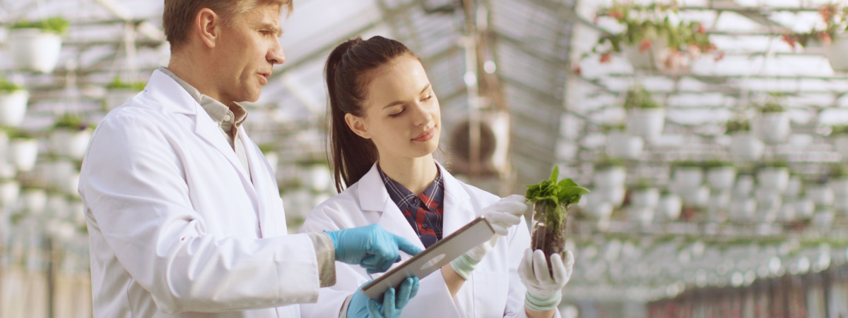 biotecnologie-sostenibili-per-l’agricoltura-italiana:-il-progetto-biotech