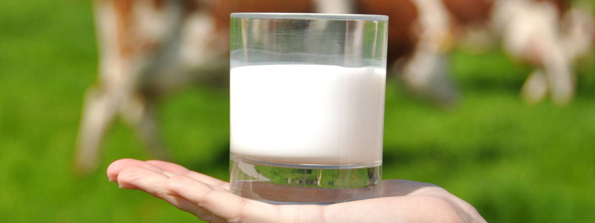 la-filiera-del-latte-puo-essere-piu-sostenibile?-ecco-smartdairy,-il-progetto-europeo