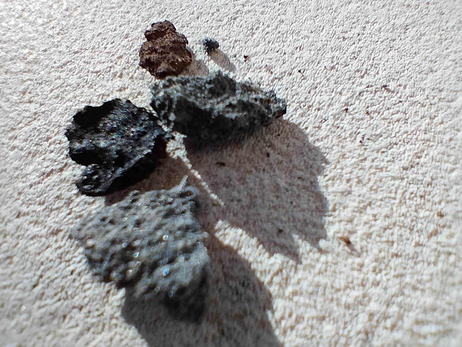 frammenti-del-meteorite-ritrovati-alla-periferia-nord-di-matera