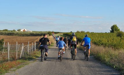 puglia,-la-bicicletta-traina-l’economia-delle-destinazioni-turistiche